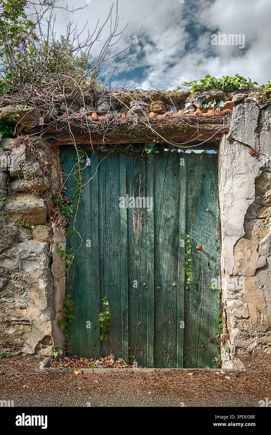 Porta rustica in legno verde inserita in un vecchio muro di muratura crepato con vegetazione e muschio in soprastruttura. Foto Stock