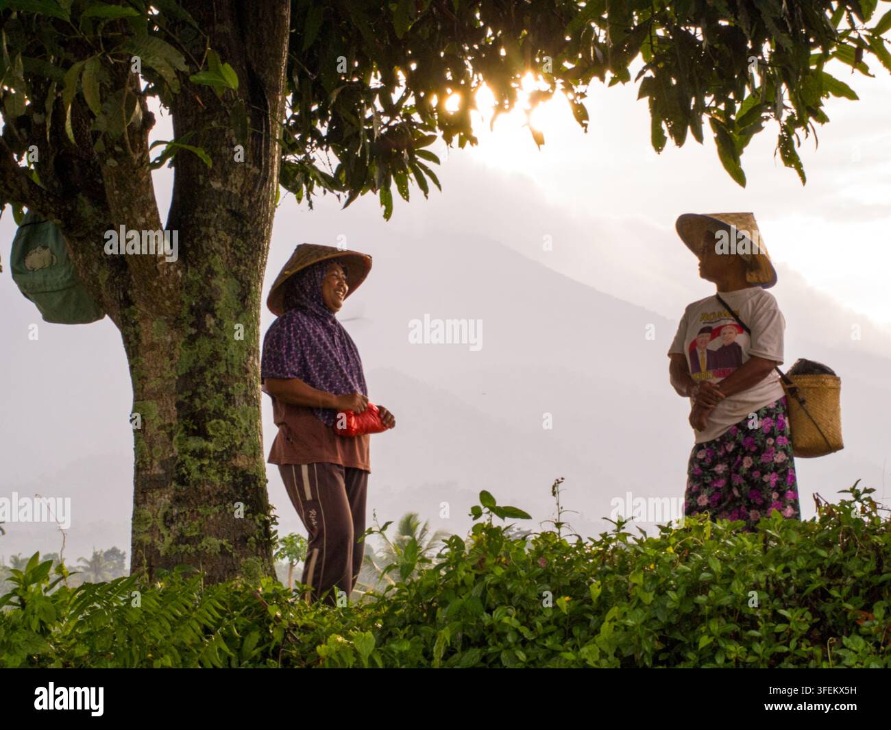 Indonesia - 31 agosto 2026: Vista di due donne che indossano cappelli conici tradizionali in piedi sotto un albero e conversano, con un paesaggio montano nebbioso in t Foto Stock