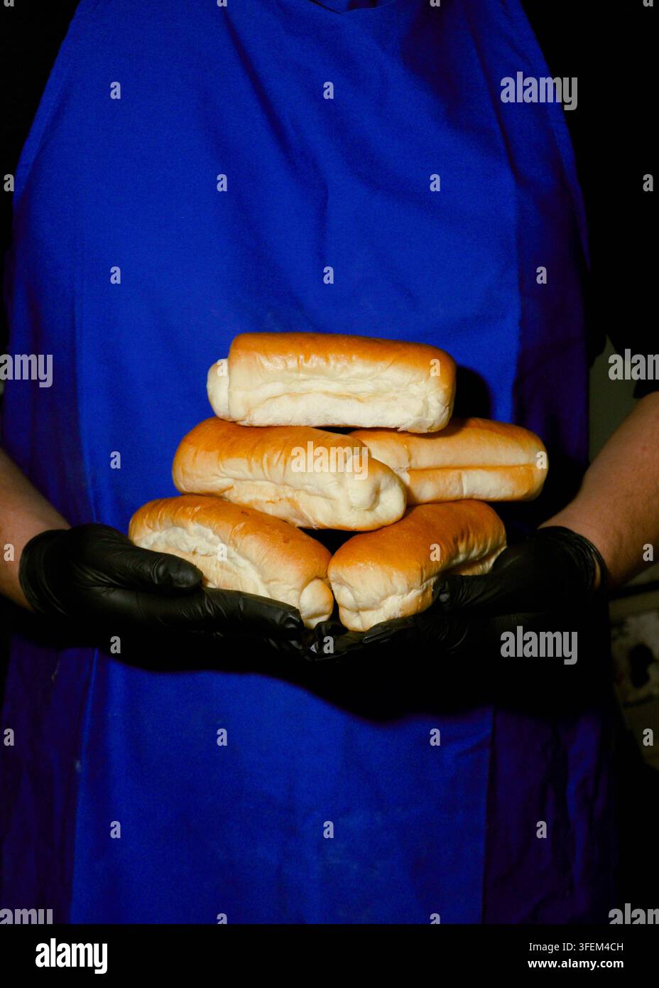 Panini per hot dog appena sfornati Foto Stock