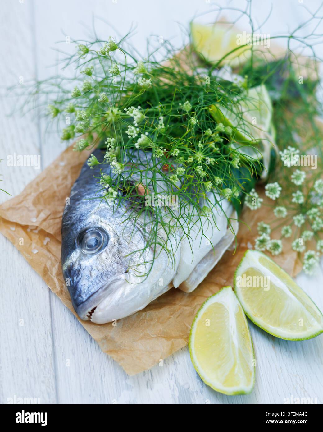 Pesce Dorado crudo su pergamena con spicchi di lime freschi Foto Stock