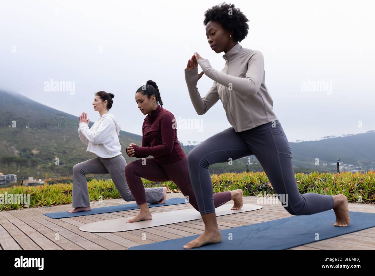 Donne afroamericane che praticano affondi in leggings sul ponte con materassini e succulente, spazio per il testo Foto Stock