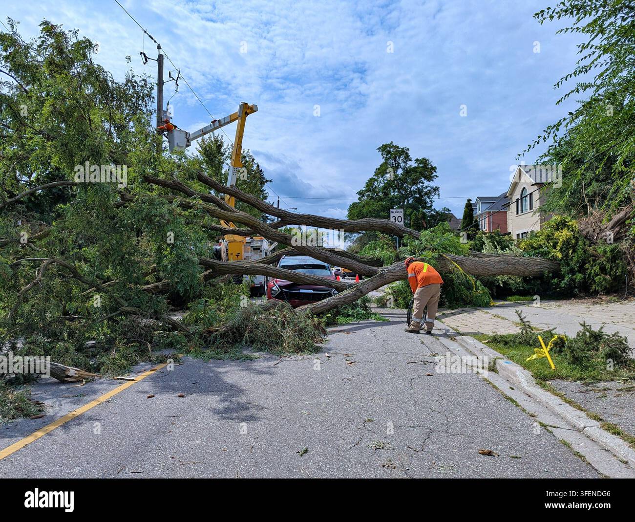 Albero spezzato che cade su un'auto in strada e sulle linee elettriche dopo una grave tempesta di vento Foto Stock
