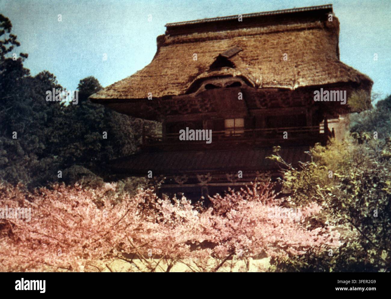 Foto vintage del cancello Sanmon al tempio Kencho-ji (quando aveva un tetto di paglia) a Kamakura, Giappone - 1953-1954 Foto Stock