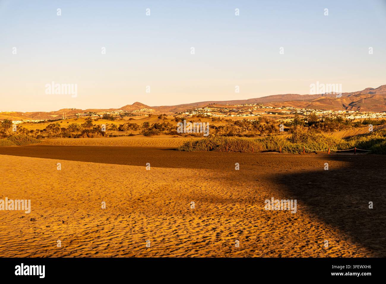 La luce calda del mattino bagna le dune di sabbia e la macchia del riserva naturale di Maspalomas, con una barriera di corda che segna l'area protetta e una collina Foto Stock