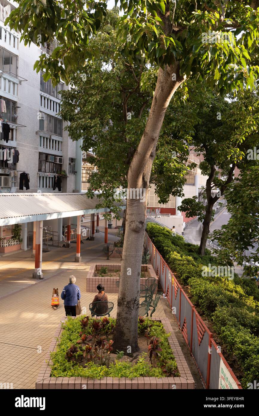 I residenti passeggiano con un cane al Choi Hung Estate a Hong Kong, godendosi un pomeriggio rilassante nel cortile iconico delle case popolari. Foto Stock