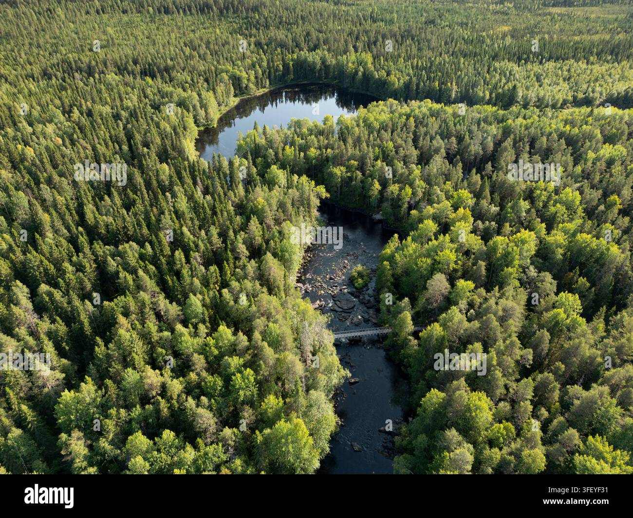 Vista aerea delle rapide di Vaattunkiköngäs che scorrono attraverso la lussureggiante taiga della Lapponia in Finlandia per mostrare una natura artica incontaminata. Foto Stock