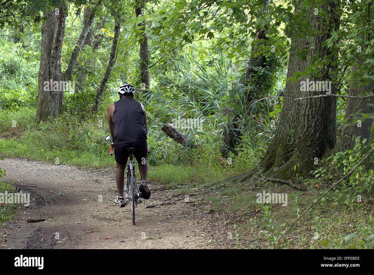 Ciclista in sella a una bici da strada su un sentiero naturale ombreggiato nella foresta. Foto Stock
