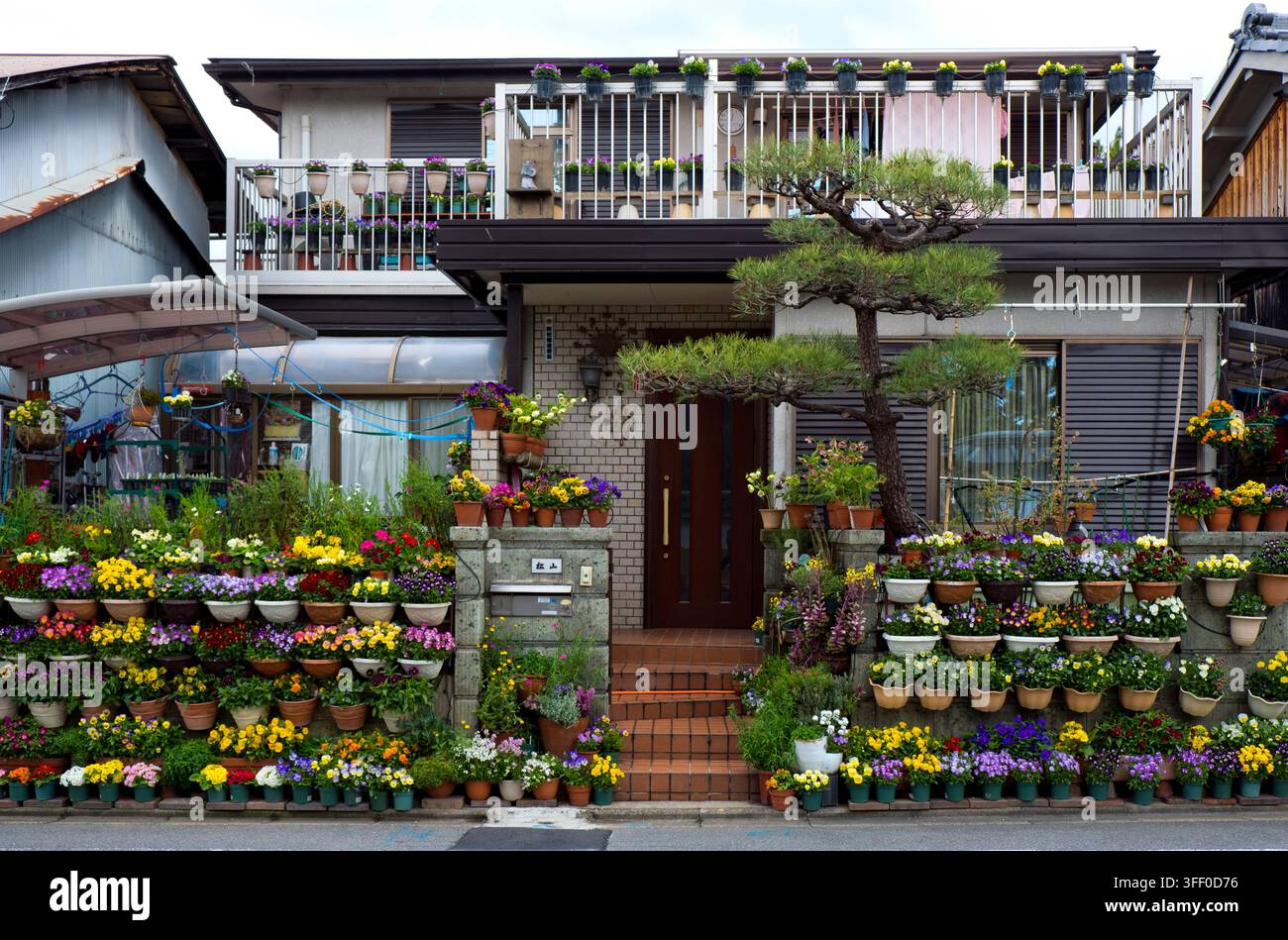 Residenza privata insolita in un sobborgo di Kyoto con centinaia di piante in vaso che coprono l'esterno, un serio hobby orticolo in Giappone. Foto Stock
