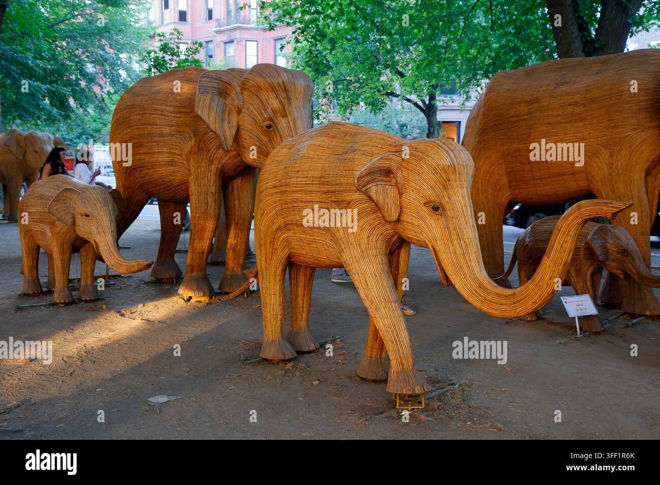 La mostra artistica della Grande Migrazione degli Elefanti su Commonwealth Avenue, Boston, Massachusetts. Sculture, repliche fedeli di 100 elefanti selvatici Foto Stock