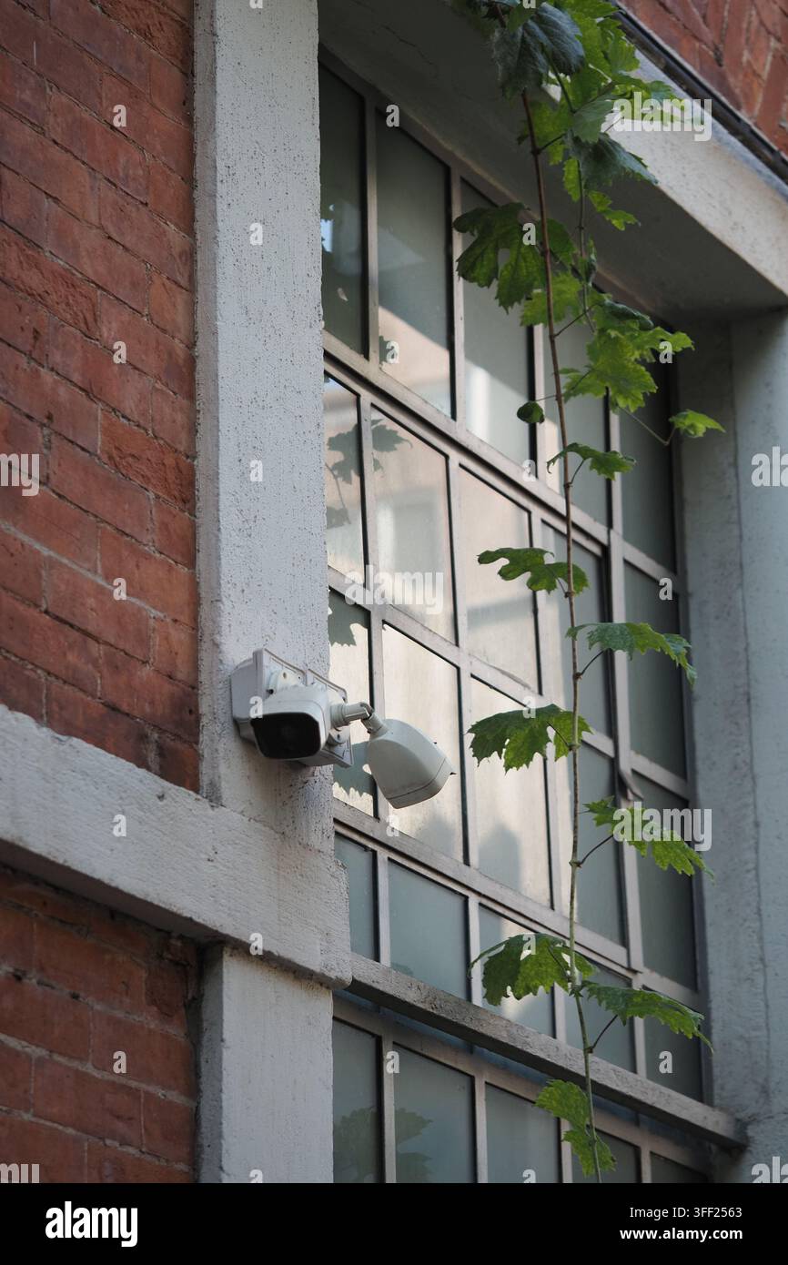 Telecamera di sorveglianza su edificio con crescita vegetale Foto Stock