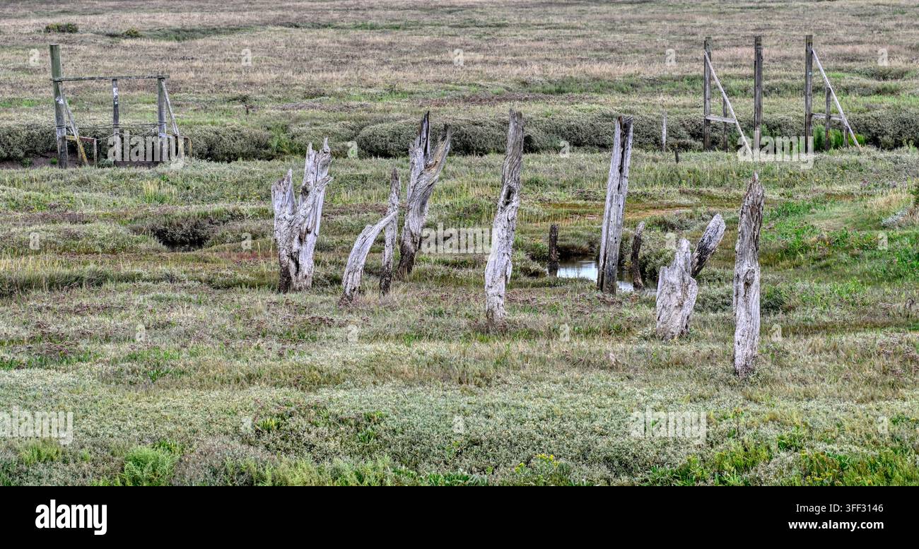 Una vista sulle paludi di marea a Thornham, Norfolk, Regno Unito Foto Stock