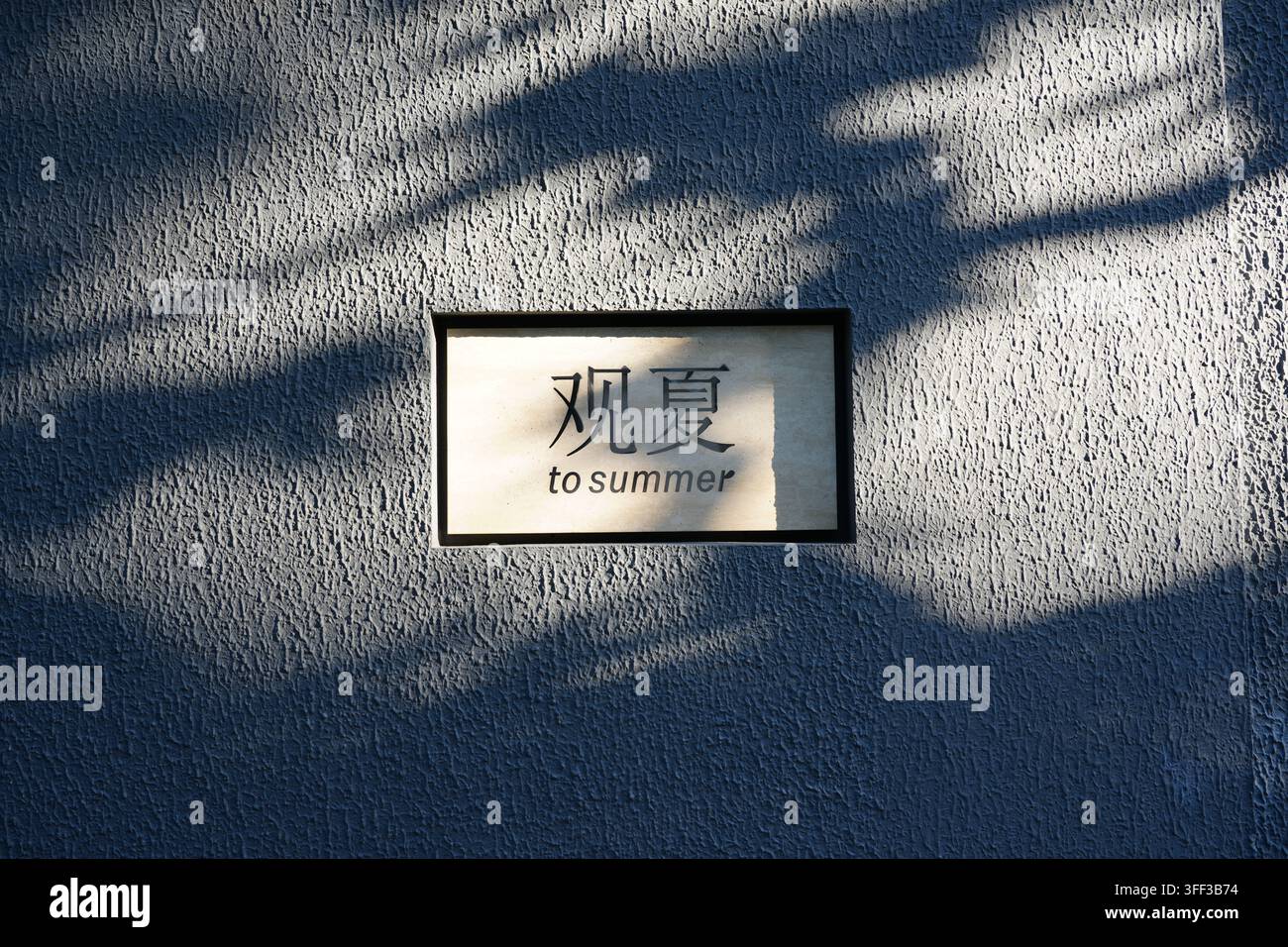 Insegna murale della marca To Summer incastonata in un muro testurizzato con luce del sole screziata e ombre degli alberi. Foto Stock