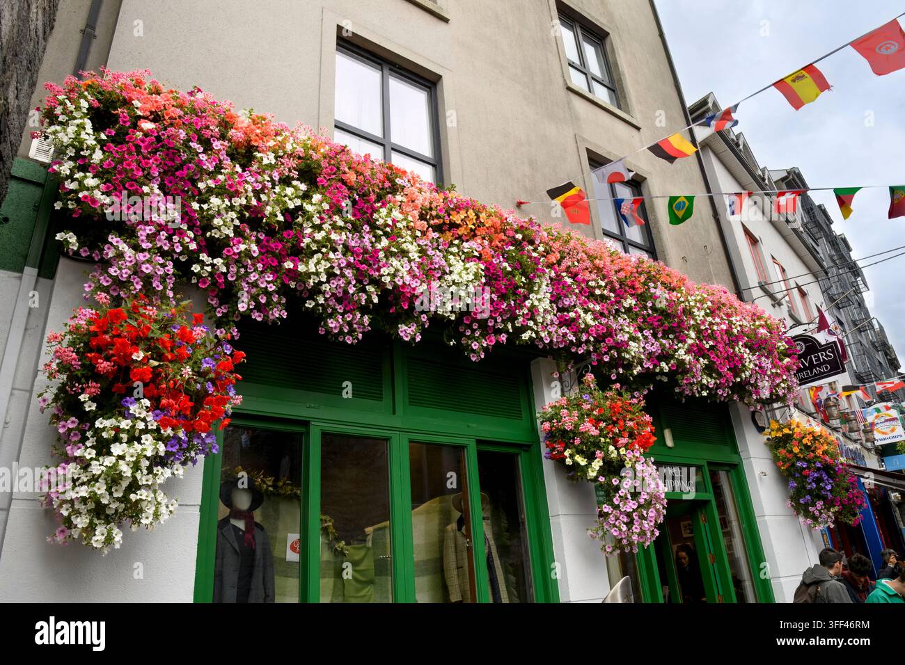Piante in fiore su un balcone nel centro di Galway, Connemara, Irlanda, Europa Foto Stock
