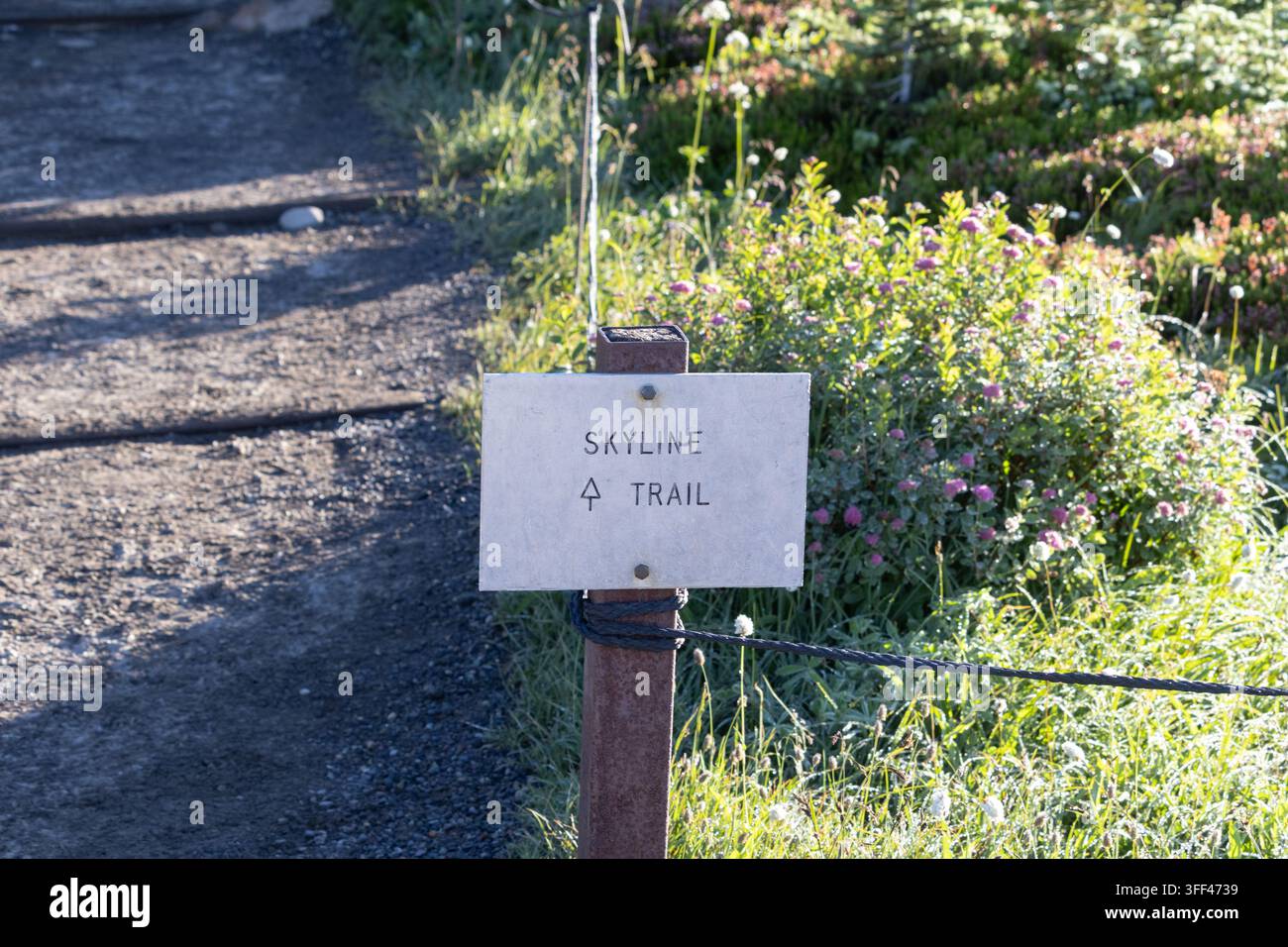 Segnale del sentiero Skyline circondato da vegetazione estiva nel Parco nazionale del Monte Rainier, Washington, USA Foto Stock