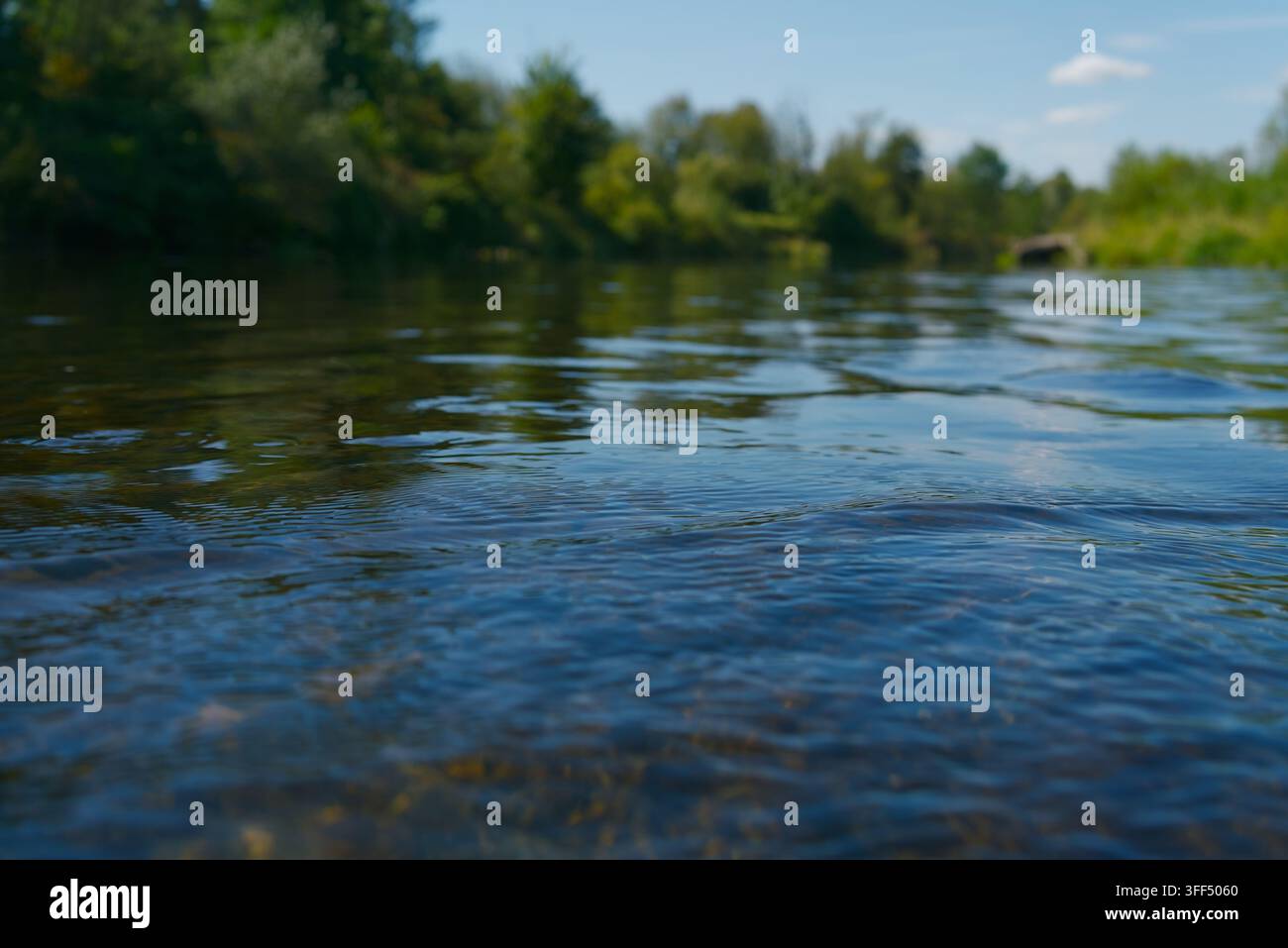 Prima vista di acqua di fiume chiara e increspata con ciottoli visibili sul fondo e uno sfondo sfocato di foresta verde. Foto Stock
