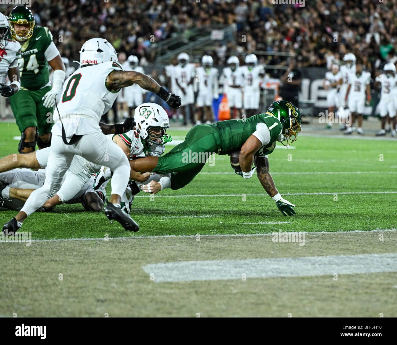 Il running back Jamar Curtis (1) della Sacramento State si tuffa nella end zone per un touchdown durante il primo quarto dell'apertura casalinga degli Hornets. Foto Stock