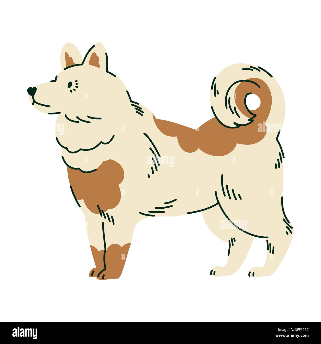Illustrazione di un cane Qimmiq artico con pelo soffice color crema e coda folta arricciata per l'educazione sulla fauna selvatica, libri per bambini, cancelleria invernale, decorazione per la cameretta Illustrazione Vettoriale