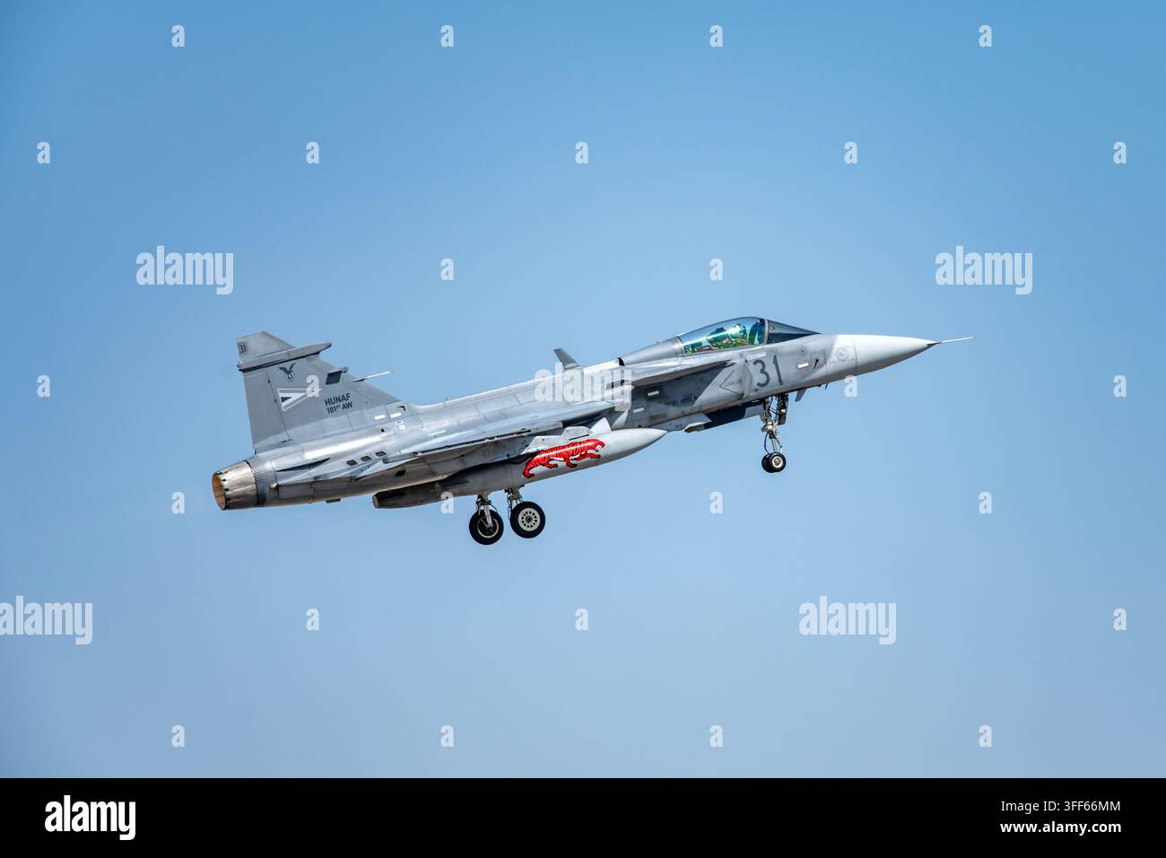 Aereo da combattimento Saab JAS 39D Gripen dell'Aeronautica Militare Ungherese in decollo sotto un cielo blu terso, foto di aviazione militare Foto Stock