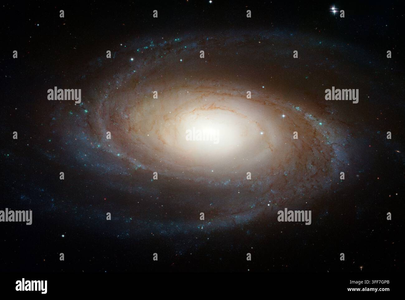M81, una galassia a spirale simile alla nostra Via Lattea, è una delle galassie più luminose visibili dalla Terra. I bracci a spirale si avvolgono fino al nucleo e sono composti da giovani stelle bluastre e calde formate negli ultimi milioni di anni, mentre il rigonfiamento centrale contiene stelle più vecchie e rossastre. Credit: NASA, ESA e il Team Hubble Heritage (STScI/AURA) Foto Stock