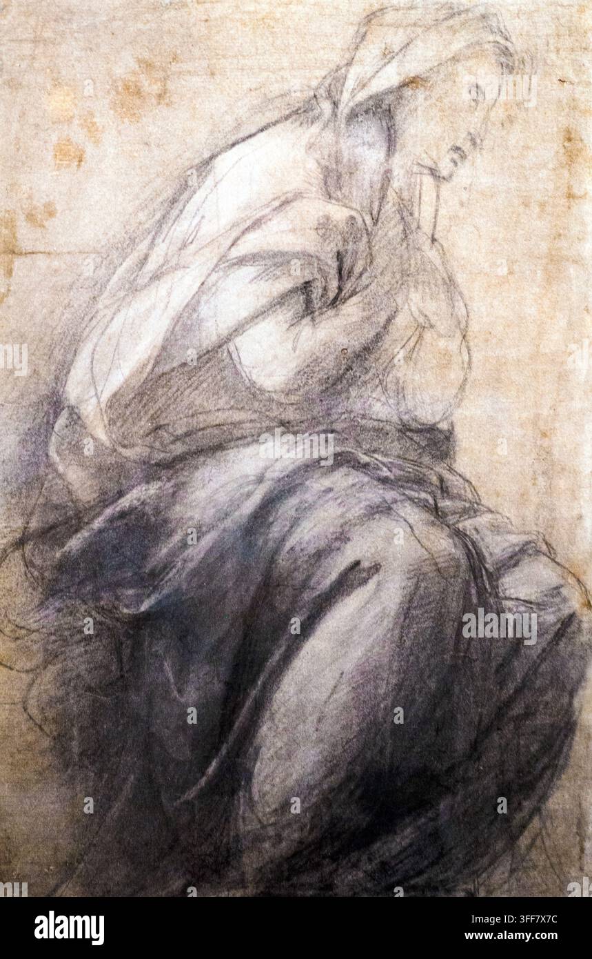 La Vergine nella Disputa del Santo Sacramento circa 1509 di Raffaello Sanzio noto come Raffaello (1483-1520) Carboncino e gesso nero, highlights bianchi su carta grigia Foto Stock