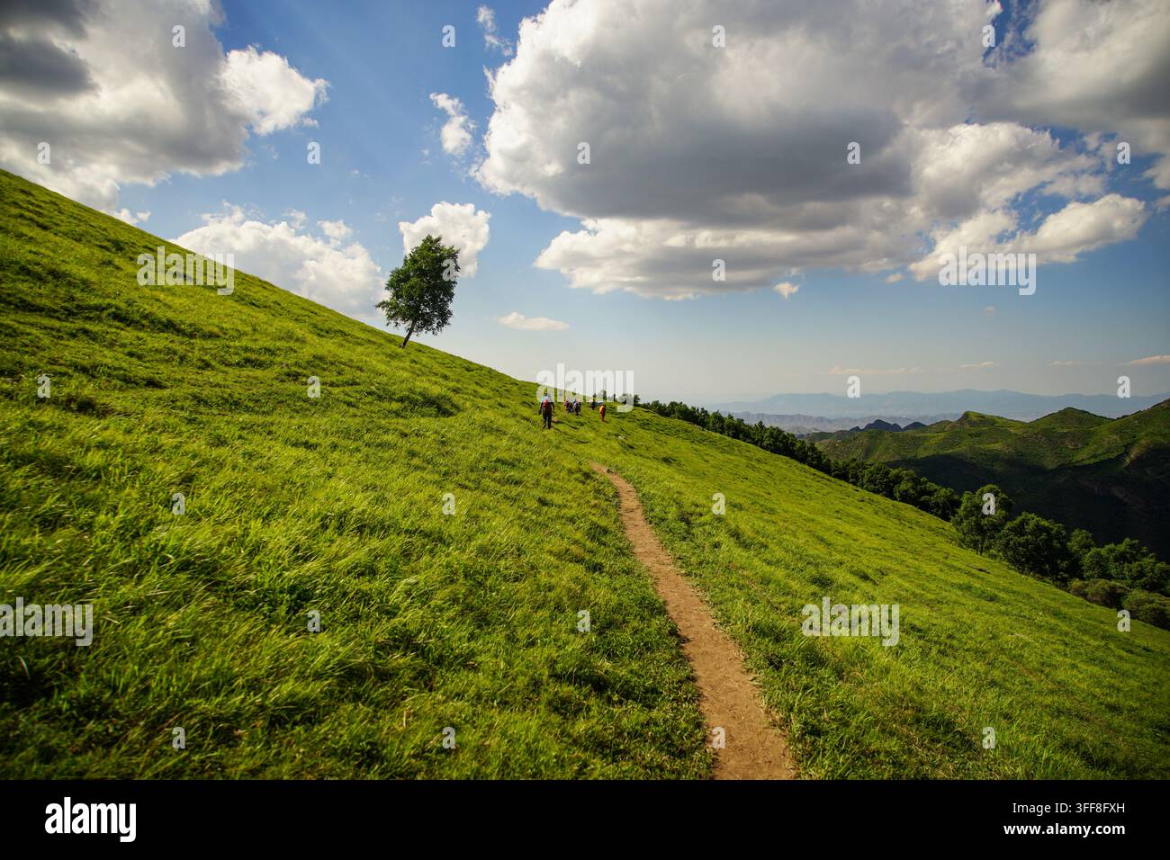 Sentiero di natura verde su pendici collinari – tranquillo Foto Stock