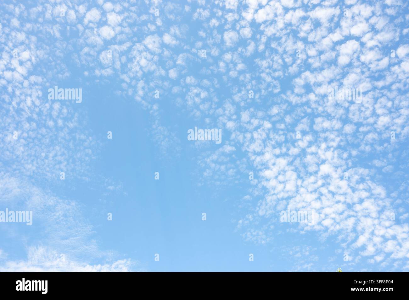 Vista orizzontale di un cielo blu chiaro completamente riempito da un motivo a chiazze di nuvole altocumulus. Ottimo per trame di motivi celesti, sfondi meteorologici Foto Stock