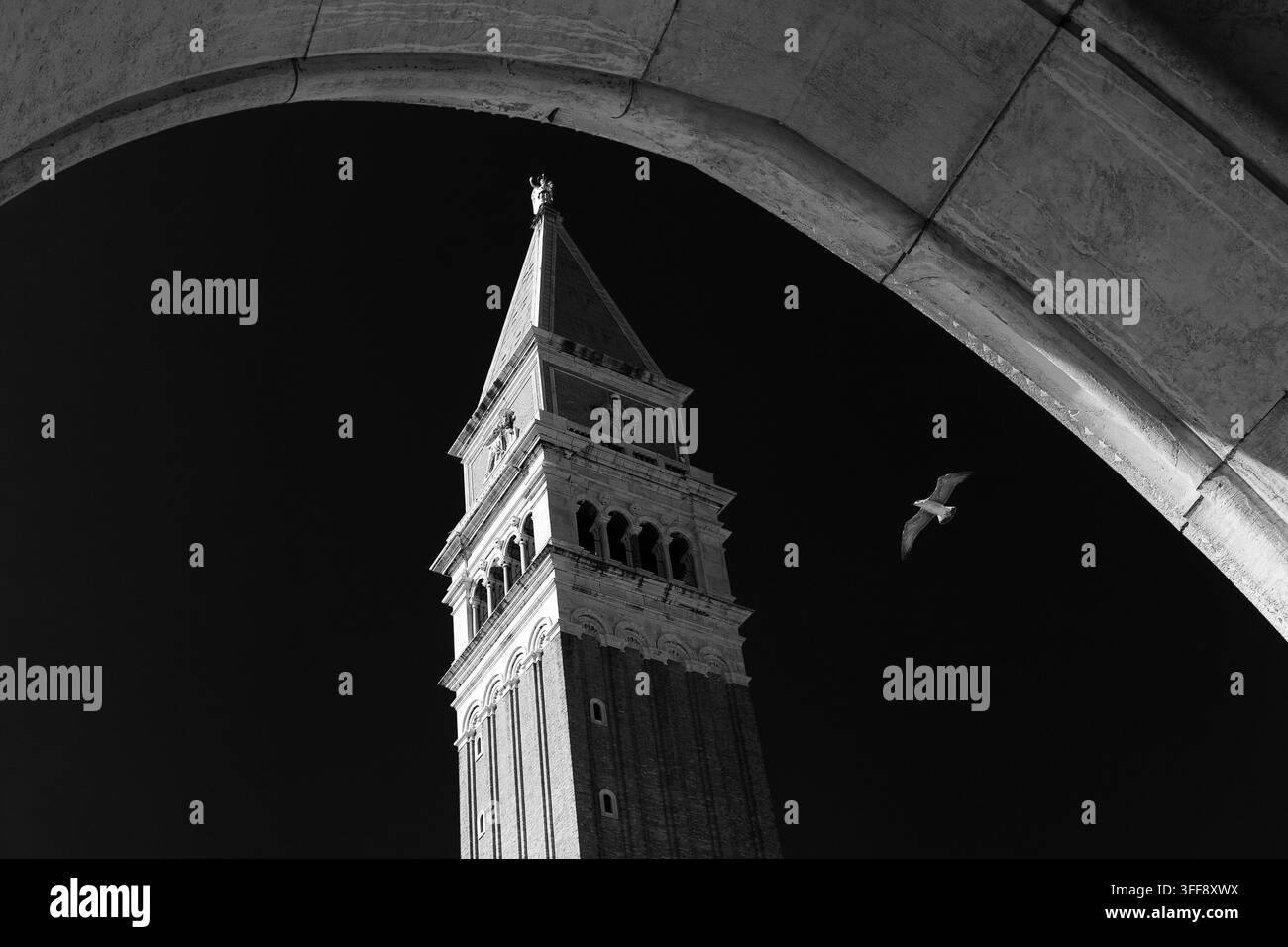 Vista in bianco e nero del Campanile di San Marco incorniciata da un arco con un gabbiano in volo, Venezia, Italia Foto Stock