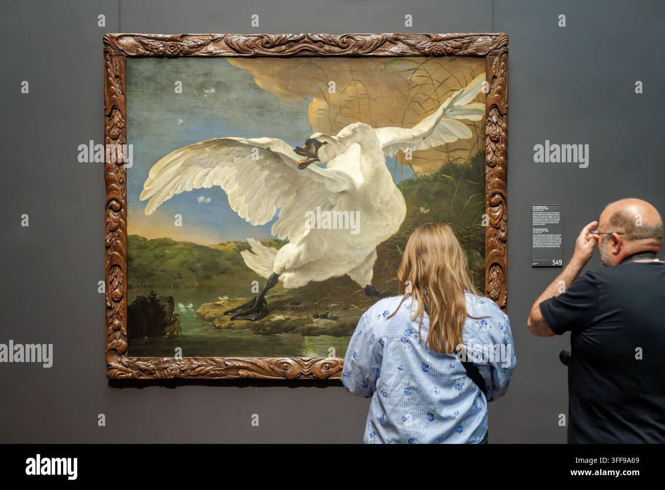 Amsterdam, Paesi Bassi - 2 luglio 2026: Visitatori che osservano un dipinto di cigno al Rijksmuseum di Amsterdam, Paesi Bassi Foto Stock