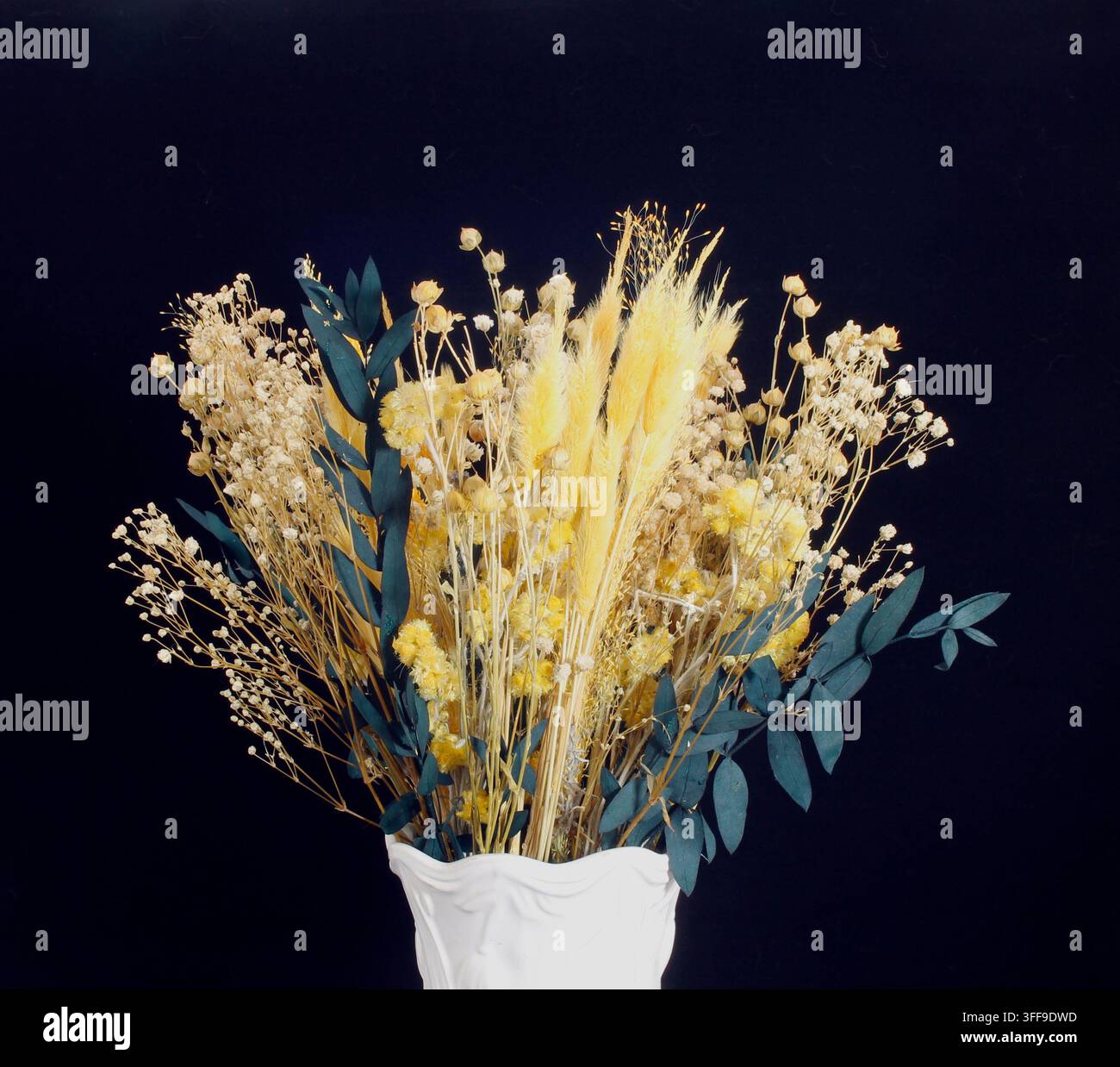 Un mazzo di fiori secchi in un vaso bianco Foto Stock