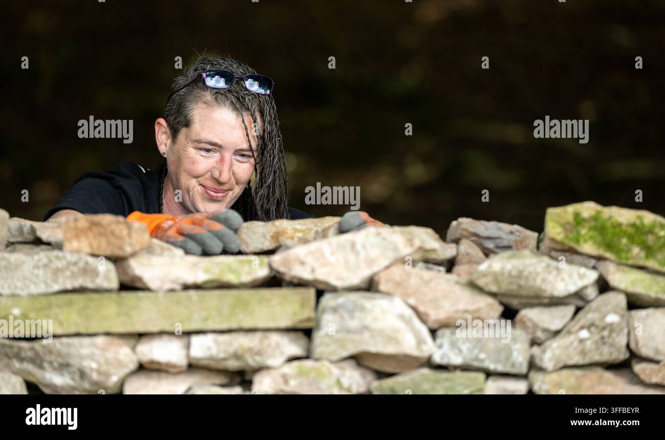 Artigiano che costruisce un muro a secco, usando solo pietra e senza malta per costruire un confine di campo. Cumbria, UK. Foto Stock