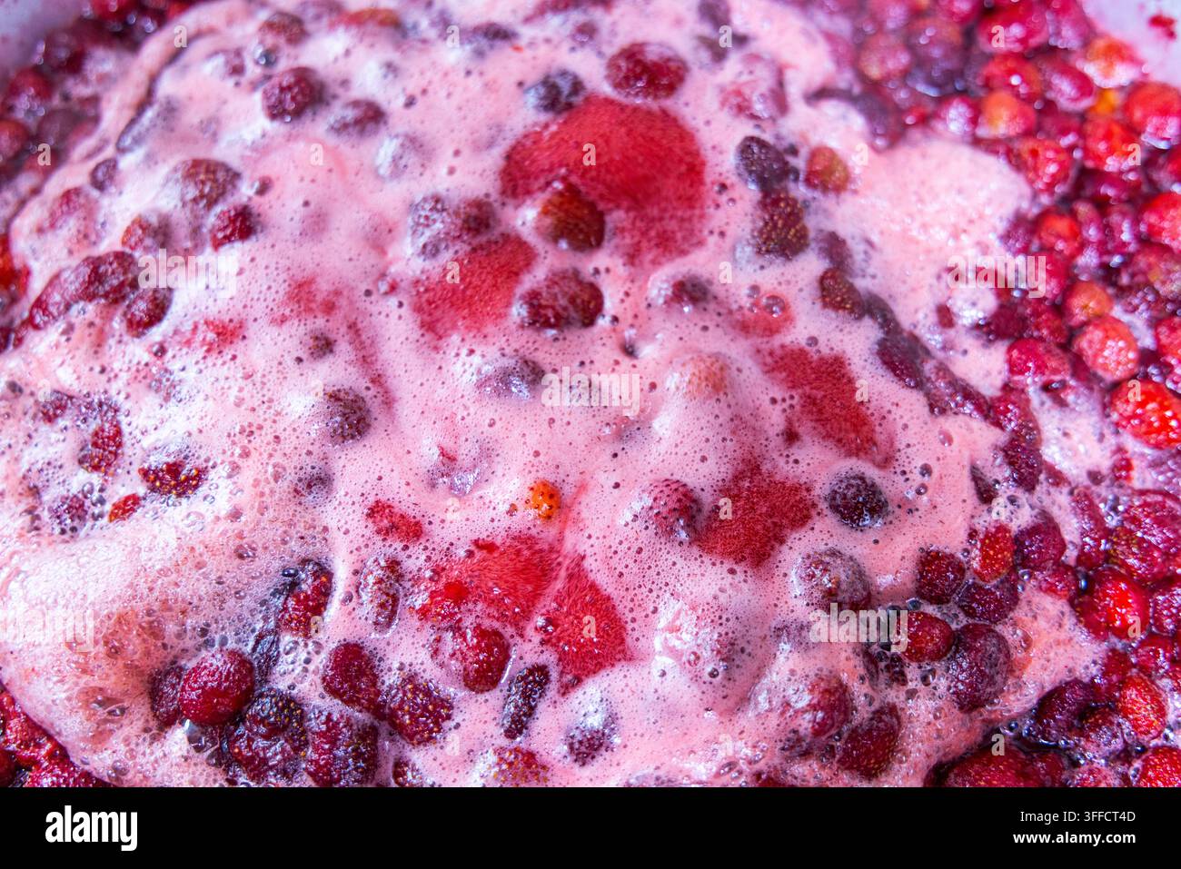 Prima vista di fragole selvatiche che bollono in una pentola. Fragole rosso scuro e viola si mescolano con schiuma rosa, creando una scena vivace di preparazione della marmellata. Foto Stock