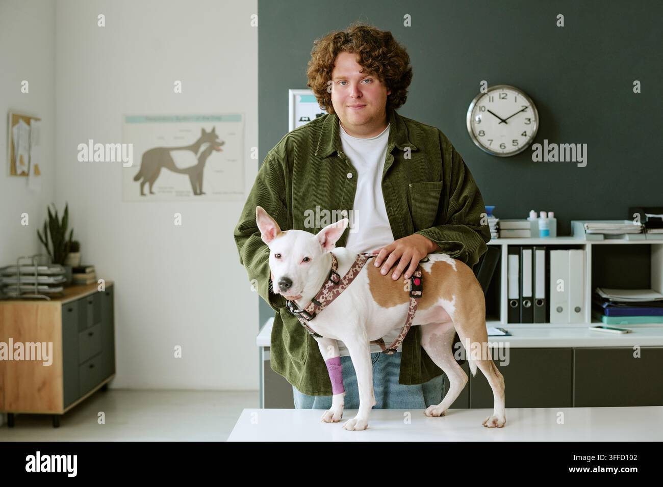 Ritratto di un uomo in piedi con un cane ferito in una clinica veterinaria Foto Stock