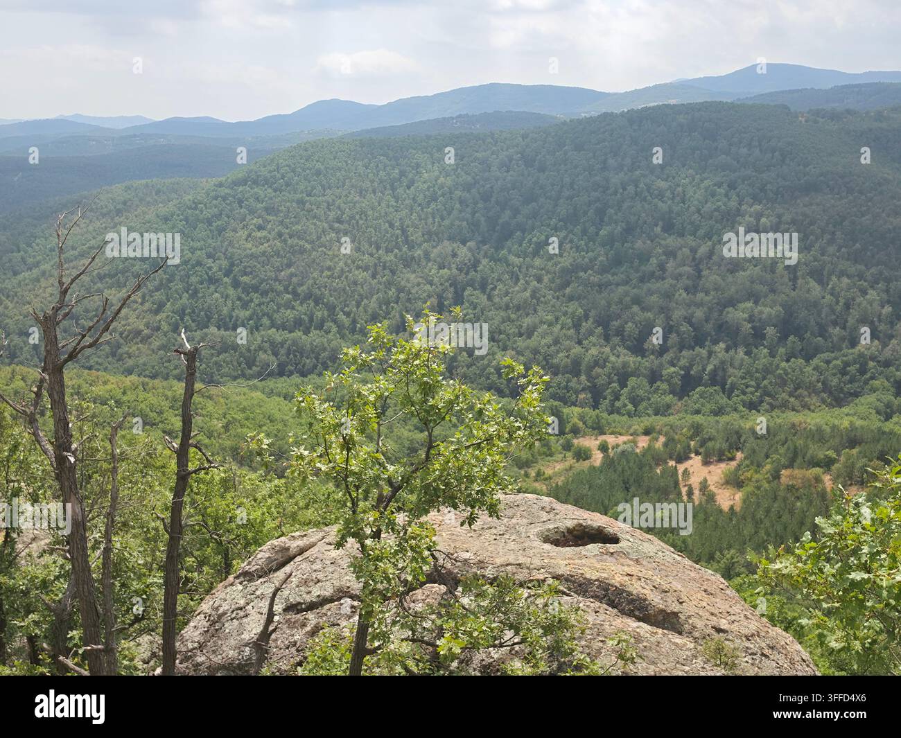 Roccia che assomiglia a un volto umano che si affaccia sulle Rhodopi orientali vicino a Nochevo, Bulgaria Foto Stock