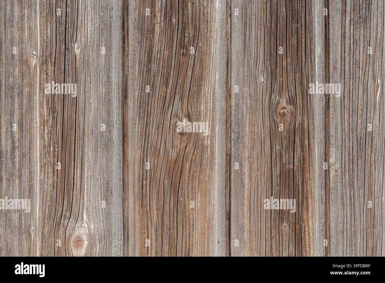 Assi verticali di legno consumate con venature pronunciate, nodi e tonalità grigio-marrone sbiadite che formano uno sfondo naturale rustico Foto Stock