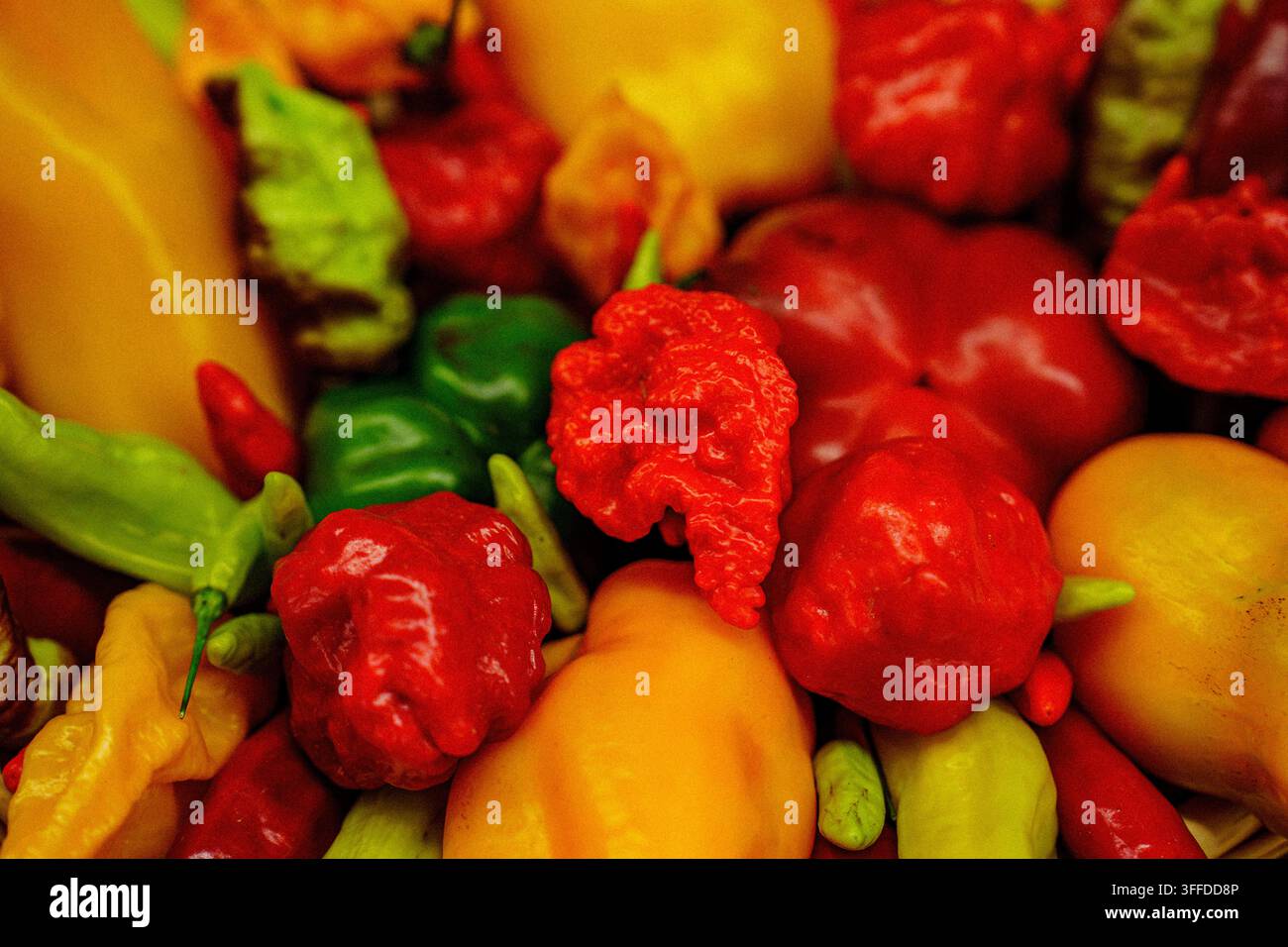 Diversi tipi di peperoni sono disposti insieme su uno stand di mercato. I colori vivaci rendono l'esposizione accattivante. Questa scena si svolge all'aperto a da Foto Stock