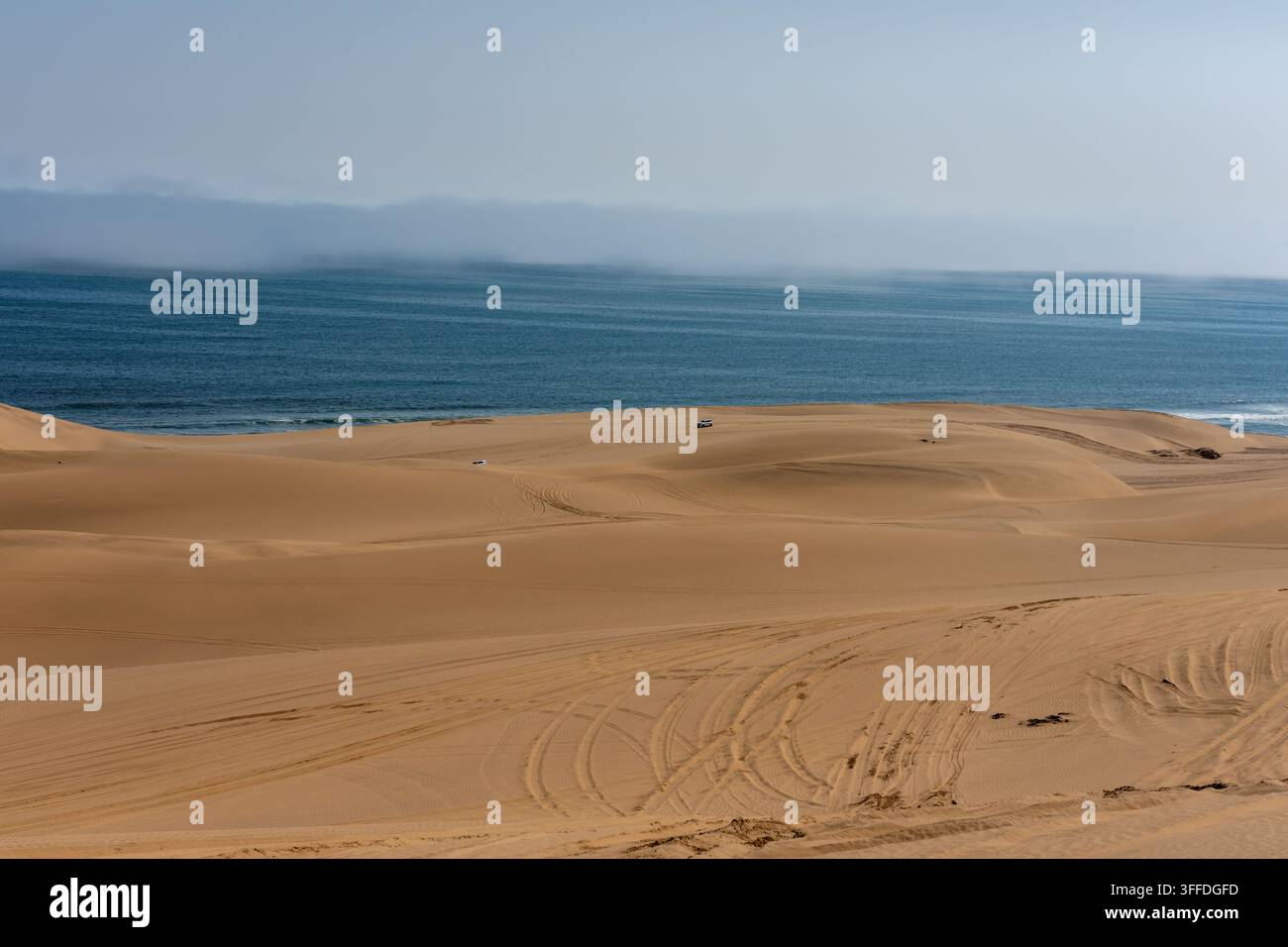 Le dune di sabbia incontrano l'Oceano Atlantico sotto una banchia di nebbia costiera vicino a Walvis Bay, in Namibia, con tracce di veicoli attraverso il paesaggio desertico. Foto Stock