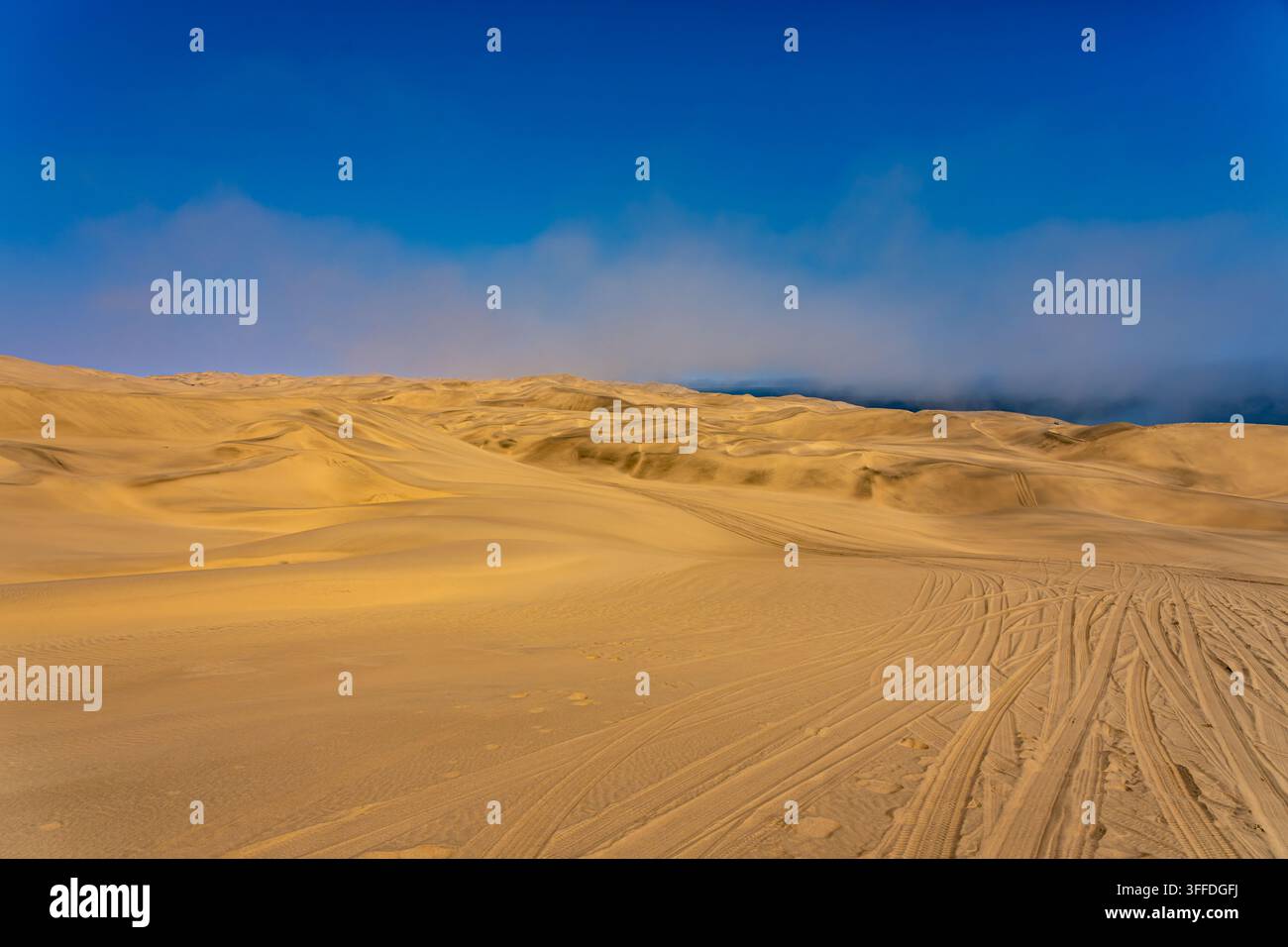 Dune di sabbia dorata incontrano la costa atlantica sotto una banchina di nebbia costiera vicino a Walvis Bay, Namibia, un paesaggio drammatico da viaggio safari. Foto Stock