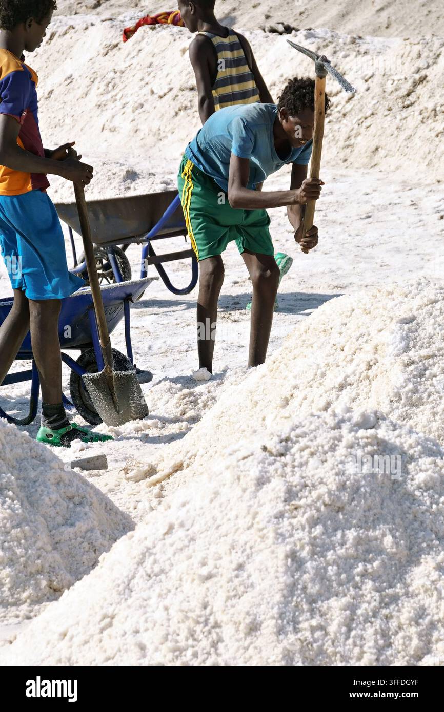 Gli operai raccolgono manualmente il sale nella depressione del Danakil, Afar, Etiopia, utilizzando pale, piccozze e carriole. Foto Stock