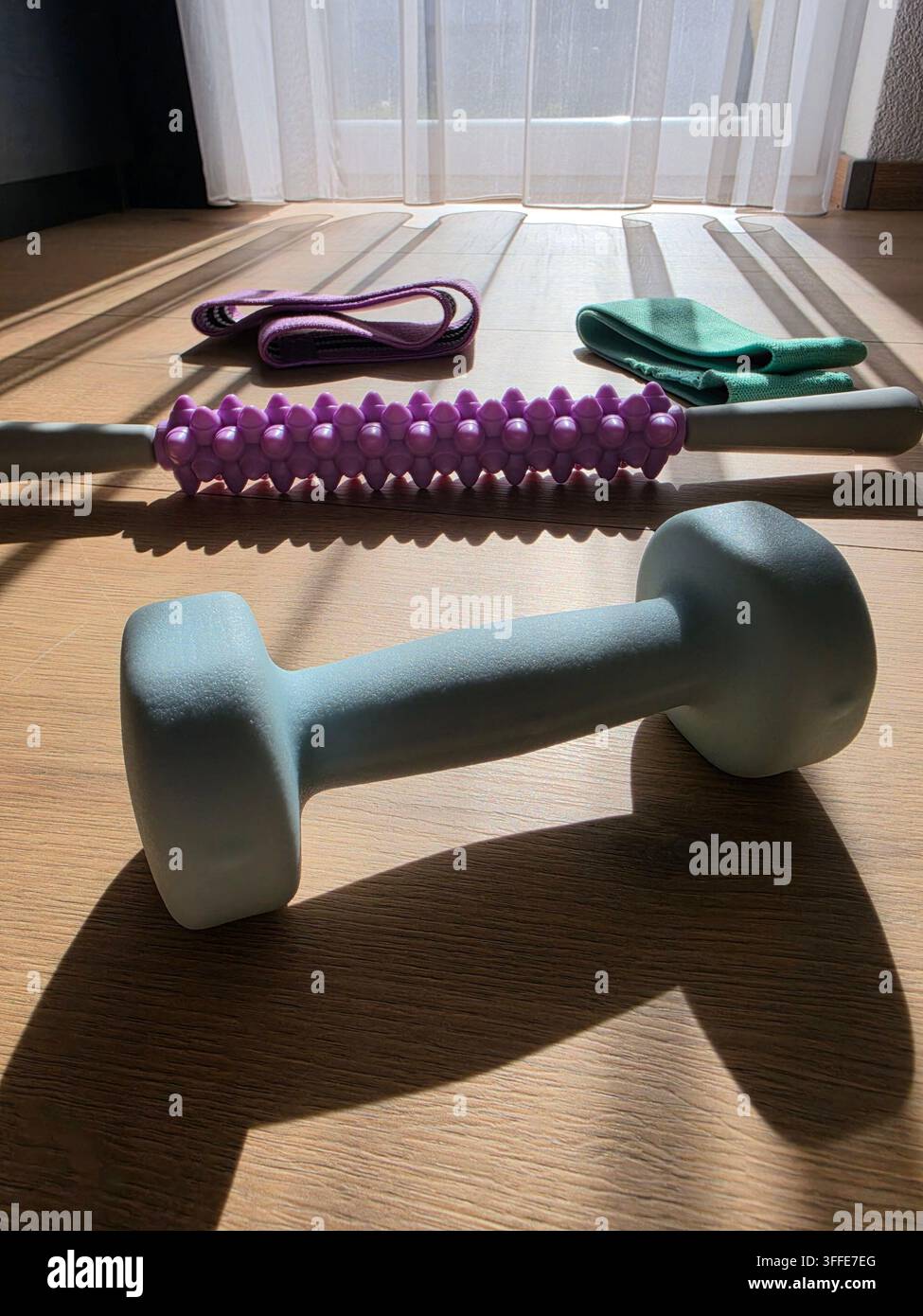 Set di attrezzature per l'allenamento fitness domestico con manubri, rullo massaggiante, fascia di resistenza e corda per saltare su un tappetino da esercizio con motivo a ombra al chiuso - Immagine stock catturata con smartphone
