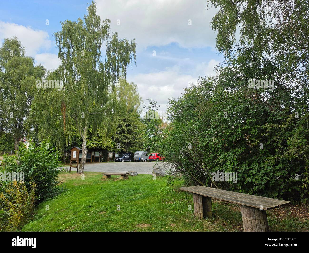 Vista di un'area ricreativa con betulle e una panchina accanto a un campo verde, con auto parcheggiate sullo sfondo - Immagine stock catturata con smartphone