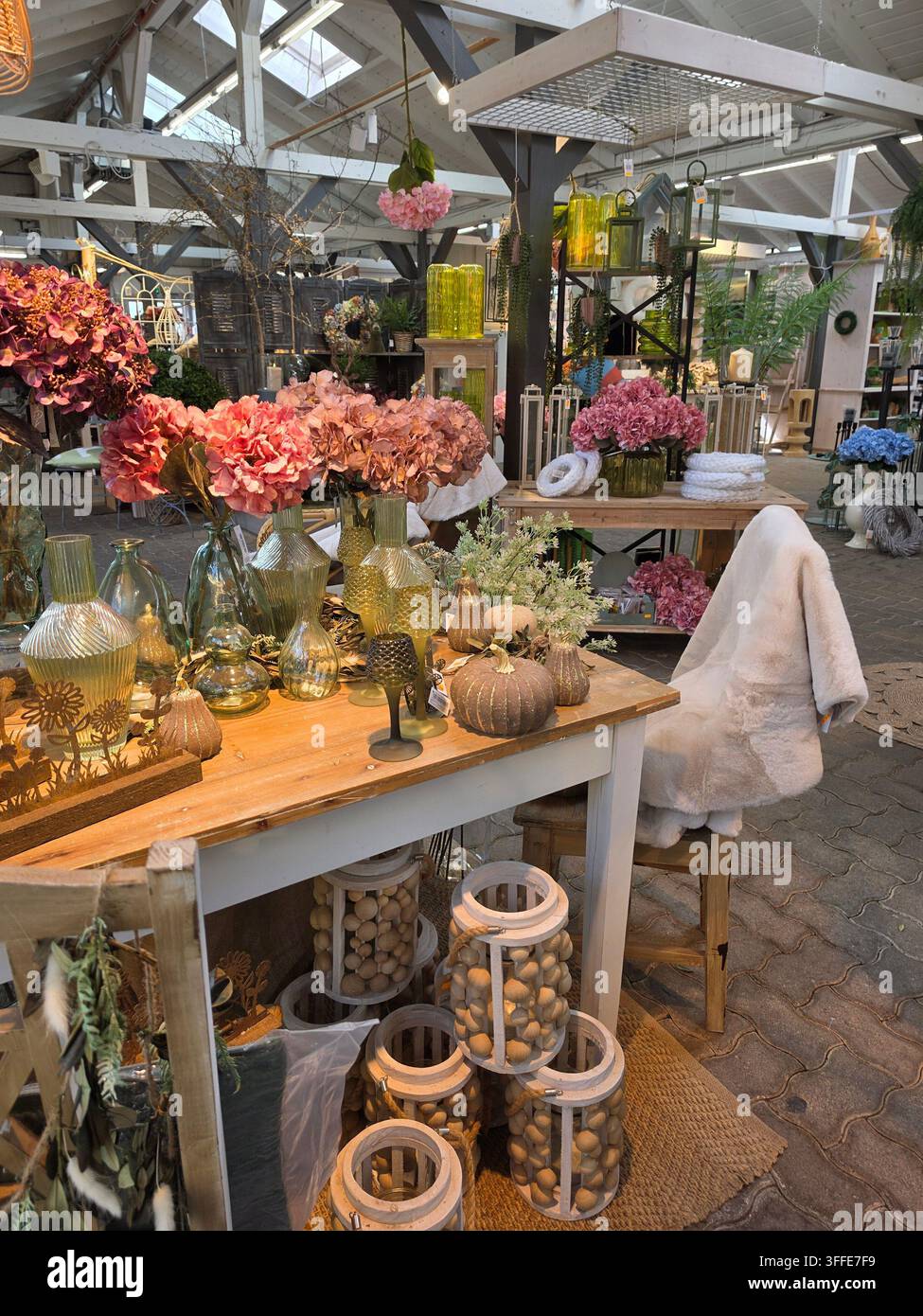 Interno accogliente di una fioreria con tavoli di legno, ortensie rosa in vasi di vetro e affascinanti oggetti decorativi rustici - Immagine stock catturata con smartphone