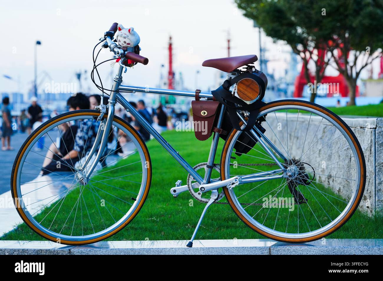 Bicicletta da città vintage classica parcheggiata su prato verde vicino al parco fluviale nella morbida luce del pomeriggio. Foto Stock