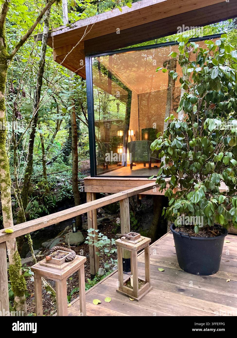 Cabina in vetro moderna che risplende caldamente tra alberi fitti e pavimentazione in legno. - Immagine stock catturata con smartphone