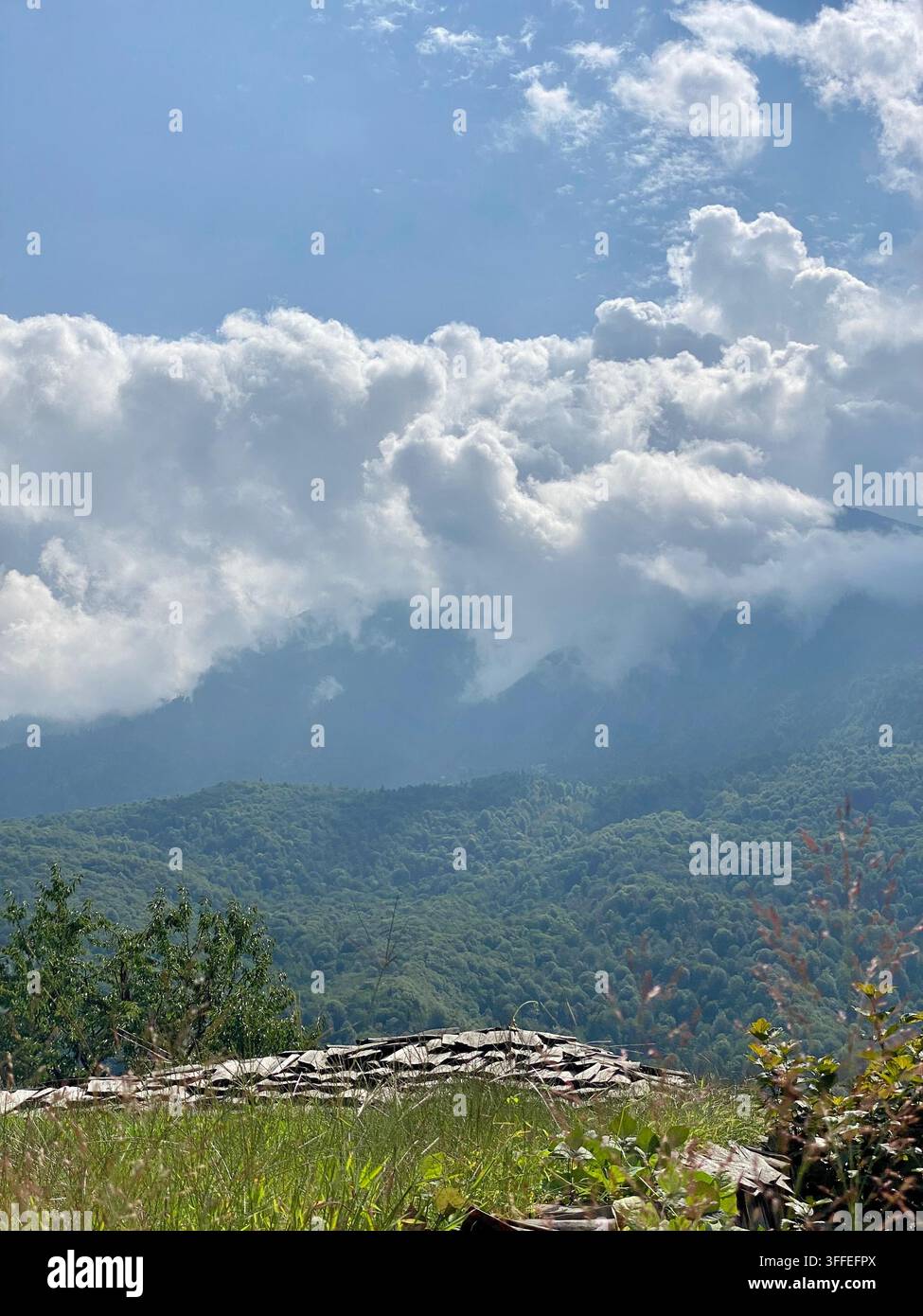 Nuvole ondeggianti si muovono sopra montagne boschive sotto la luce luminosa dell'estate. - Immagine stock catturata con smartphone