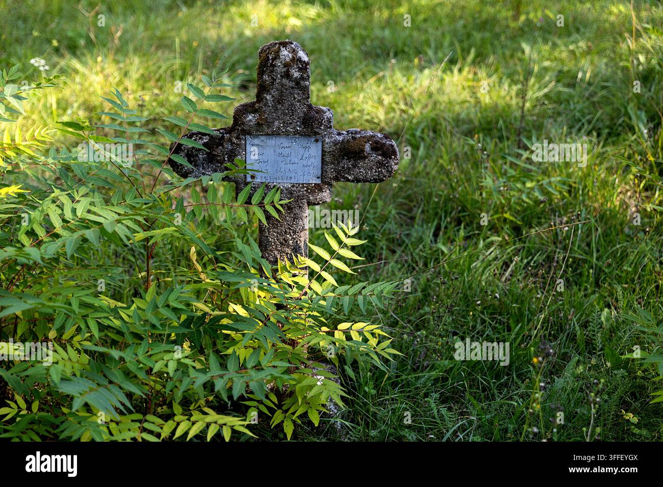 Cimitero militare austro-ungherese storico con lapidi di pietra erose di soldati della Prima Guerra Mondiale tra gli alberi autunnali a Brje pri Komnu. Foto Stock