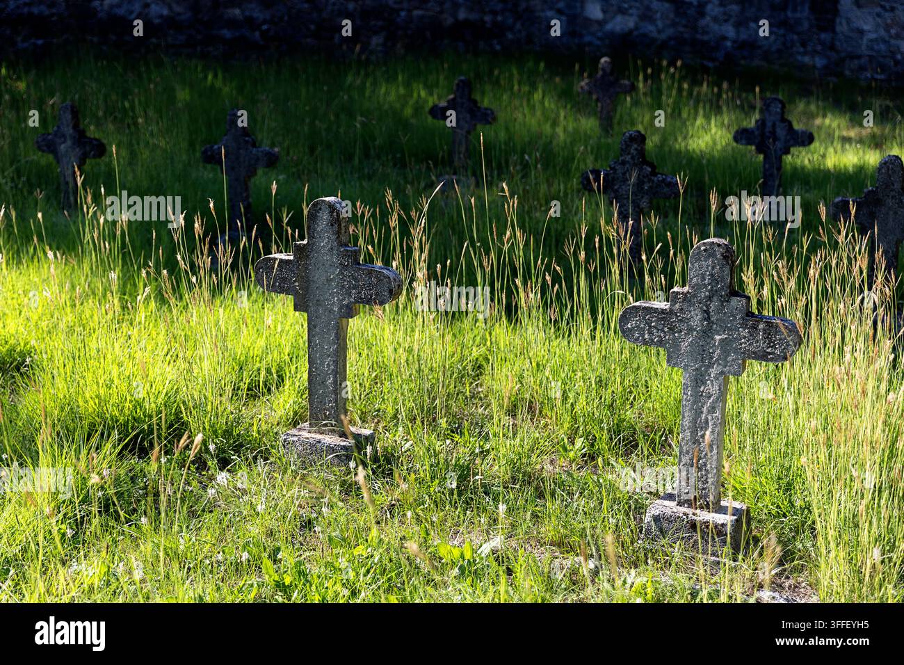 Cimitero militare austro-ungherese storico con lapidi di pietra erose di soldati della Prima Guerra Mondiale tra gli alberi autunnali a Brje pri Komnu. Foto Stock
