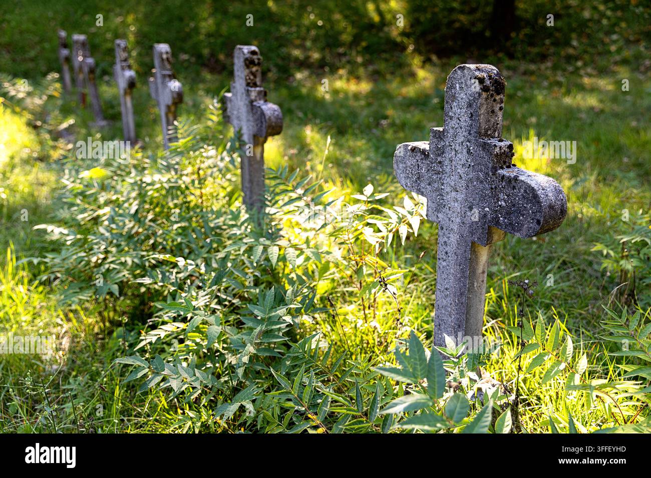 Cimitero militare austro-ungherese storico con lapidi di pietra erose di soldati della Prima Guerra Mondiale tra gli alberi autunnali a Brje pri Komnu. Foto Stock