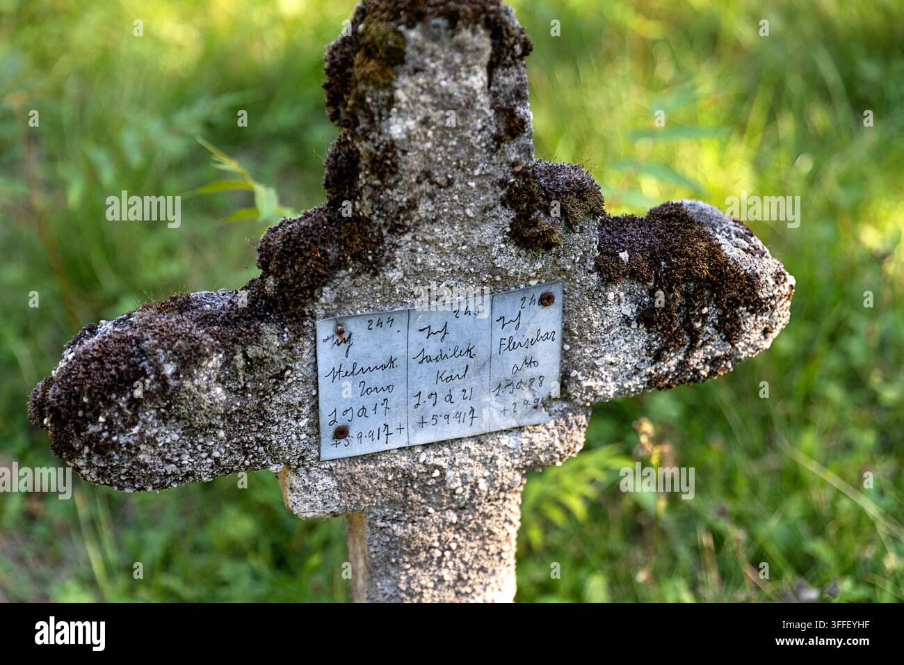 Cimitero militare austro-ungherese storico con lapidi di pietra erose di soldati della Prima Guerra Mondiale tra gli alberi autunnali a Brje pri Komnu. Foto Stock