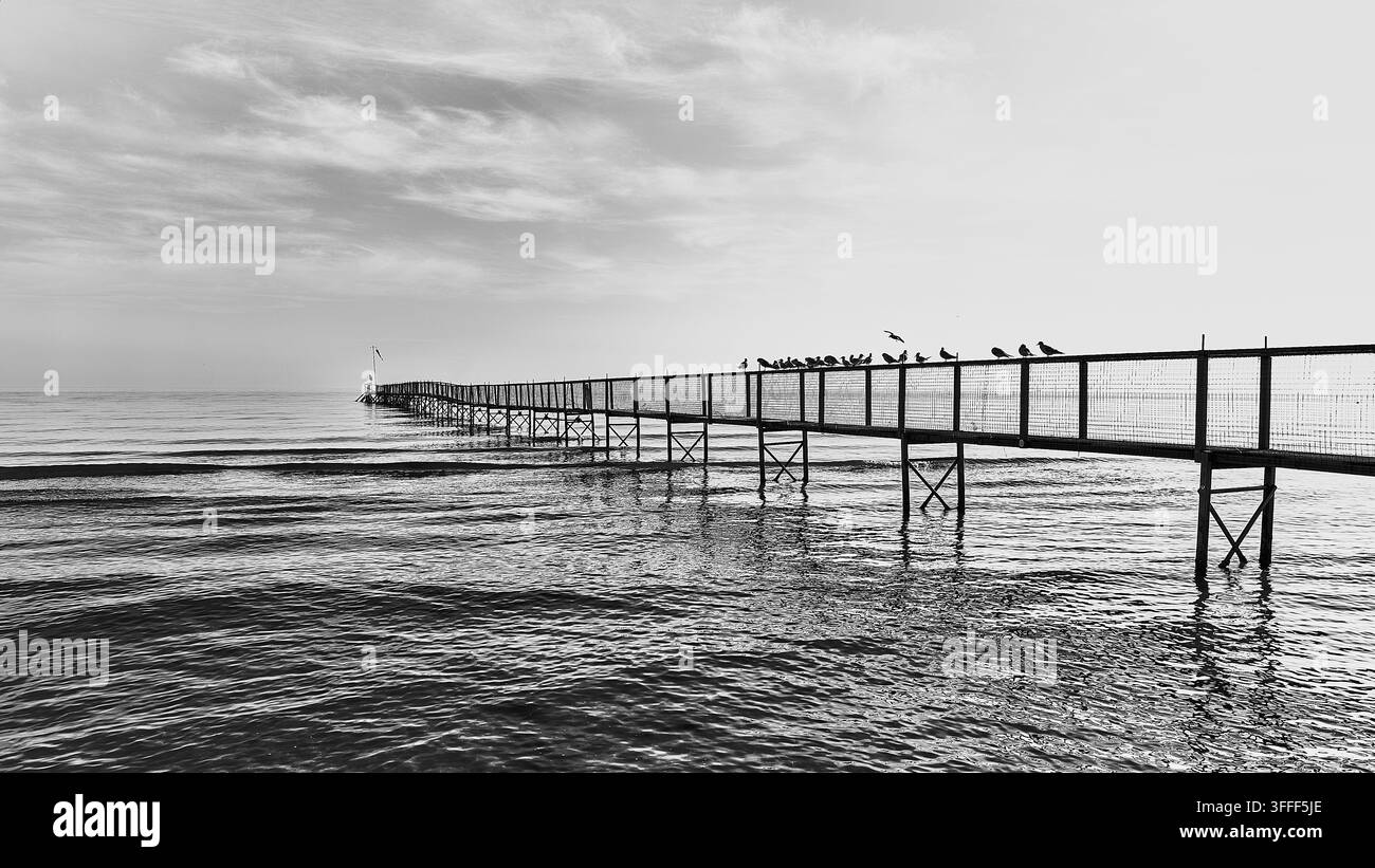 Lungo molo con uccelli marini che si estende nella calma mare Adriatico a Rimini, Italia, creando un paesaggio costiero minimalista tranquillo. Foto Stock