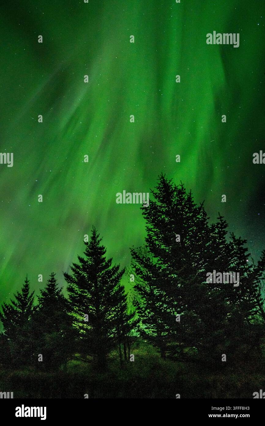 Spettacolare aurora boreale che illumina il cielo notturno sopra il paesaggio islandese. Vita in camper. Foto Stock